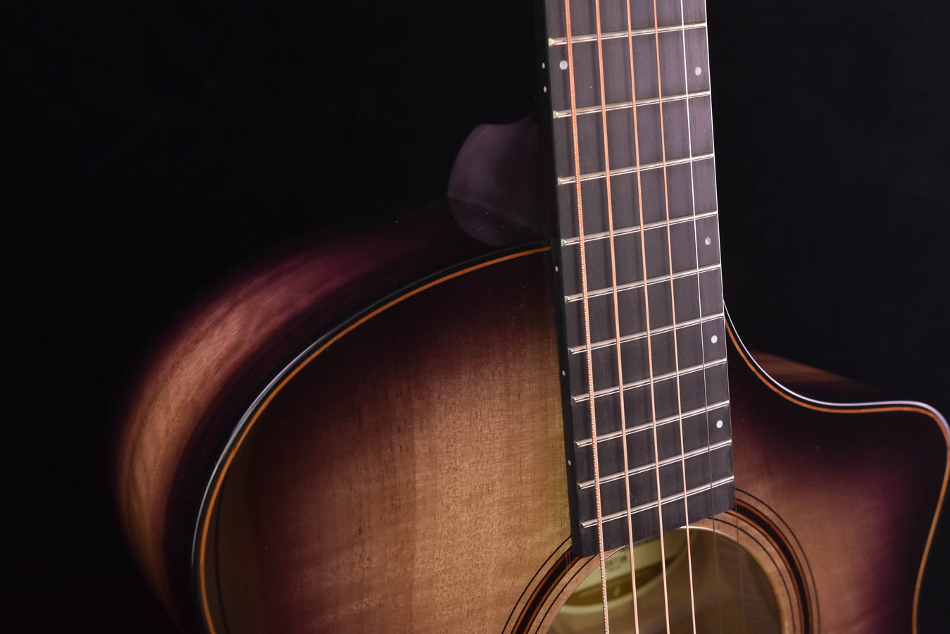 Breedlove Oregon Concert Raven CE all Myrtlewood, LTD