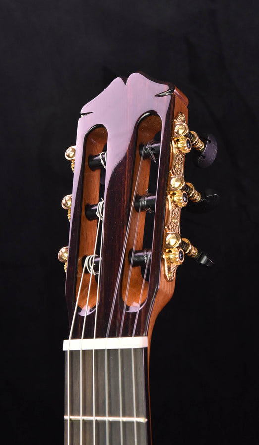 Cordoba 45co cedar top/ Cocobolo classical guitar w/ Case