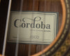 Cordoba 45co cedar top/ Cocobolo classical guitar w/ Case