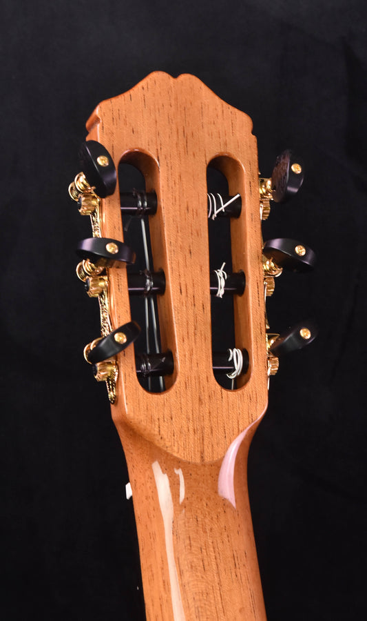 Cordoba 45co cedar top/ Cocobolo classical guitar w/ Case