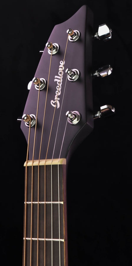 Breedlove Discovery Companion Black Widow CE all Mahogany