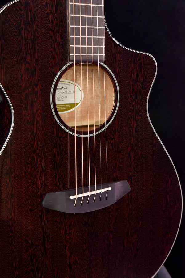 Breedlove Discovery Concert Black Widow CE All Mahogany