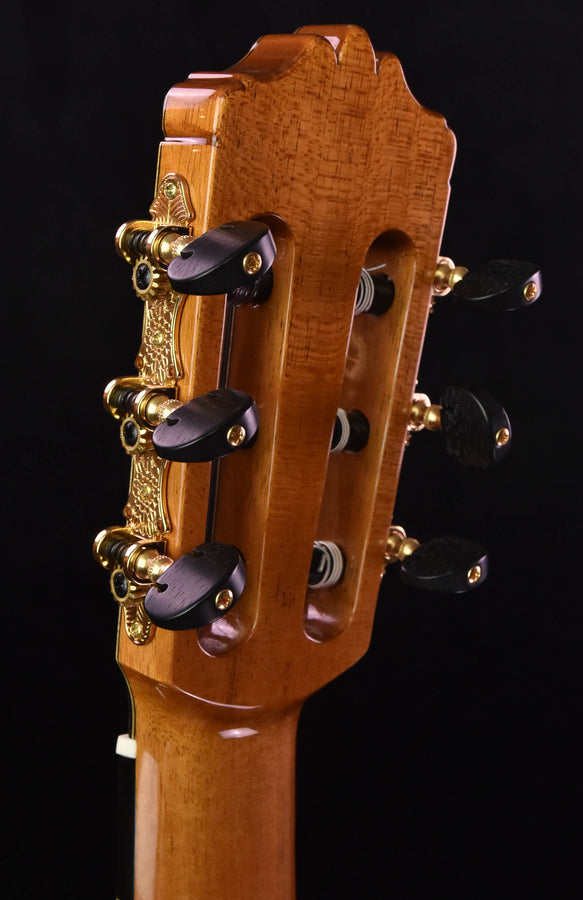 Cordoba C12 Cedar top Classical with case