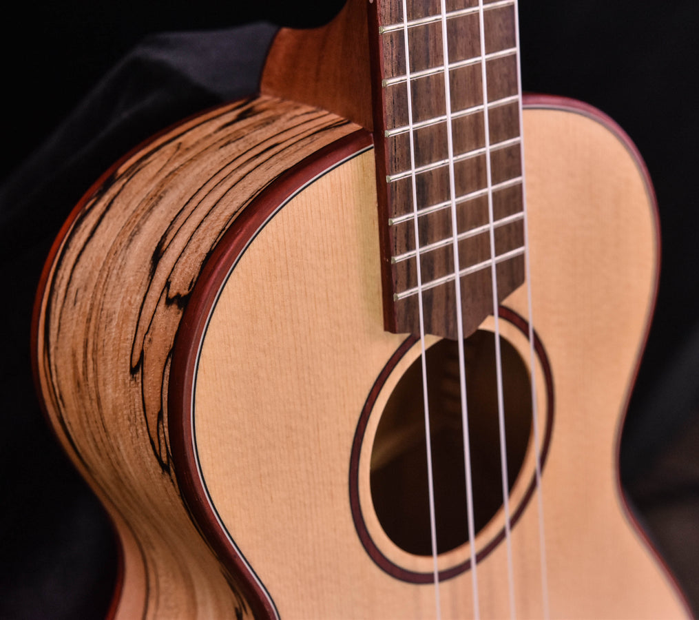 Cordoba 24T Tenor Uke Sitka Spruce and Spalted Maple