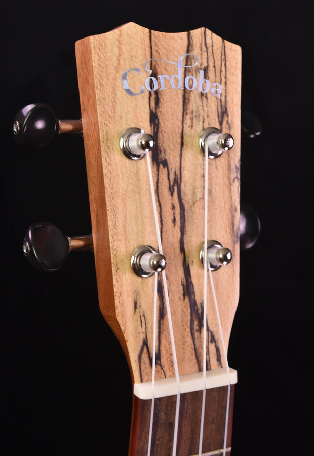 Cordoba 24T Tenor Uke Sitka Spruce and Spalted Maple