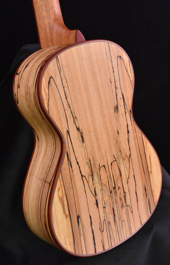 Cordoba 24T Tenor Uke Sitka Spruce and Spalted Maple