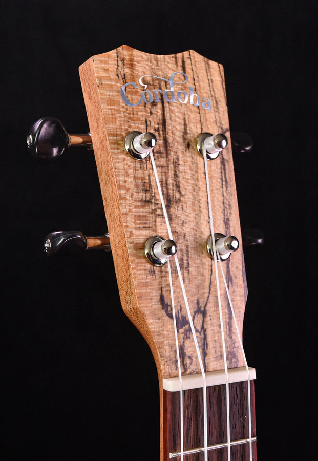 Cordoba 24C Concert Ukulele - Spalted Maple & Sitka Spruce