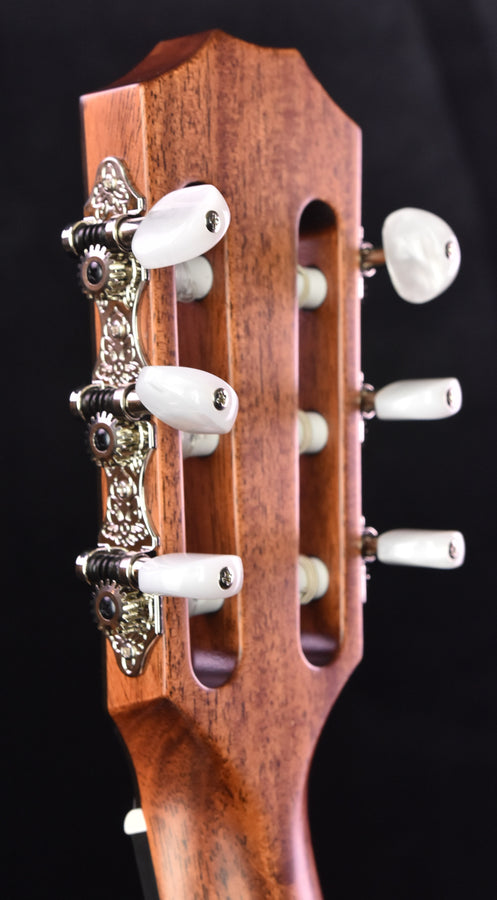 Taylor 312CE-N Nylon String Crossover