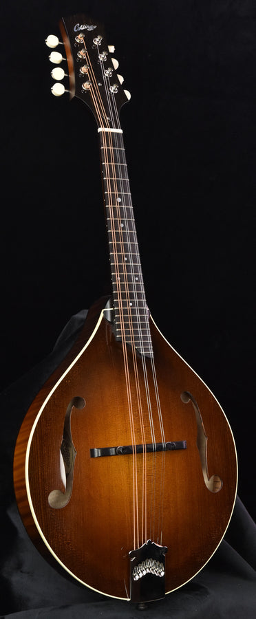 Collings MT Mandolin Torrified Sitka Spruce Top Ivorold Binding