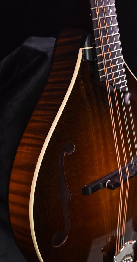 Collings MT Mandolin Torrified Sitka Spruce Top Ivorold Binding