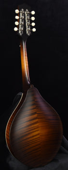 collings mt mandolin torrified sitka spruce top ivorold binding