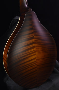 collings mt mandolin torrified sitka spruce top ivorold binding