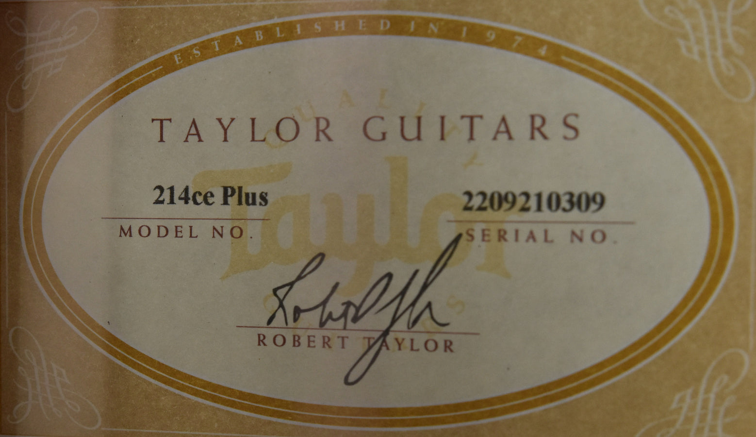 Taylor 214CE Plus with new Aero Case!!