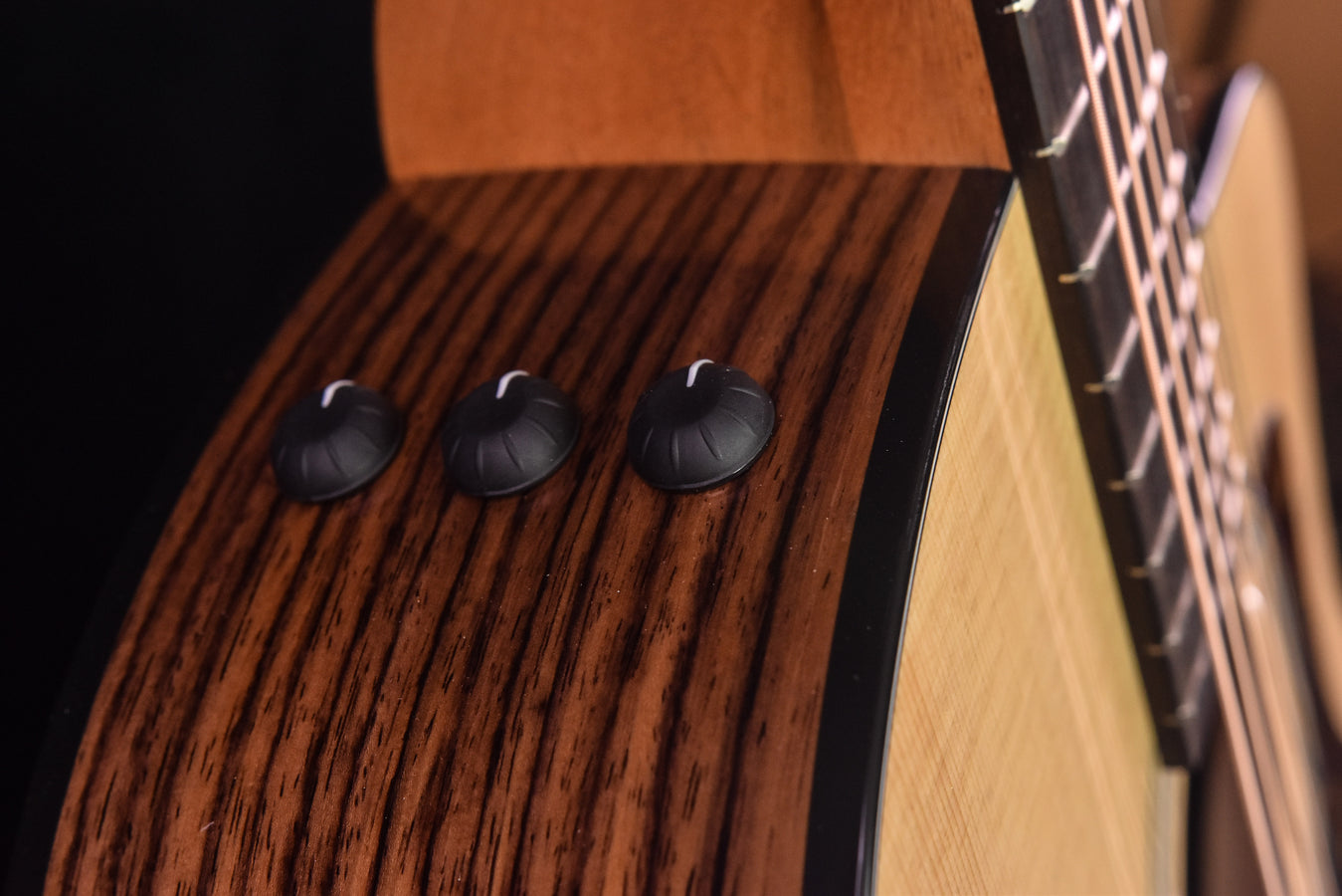 Taylor 214CE Plus with new Aero Case!!