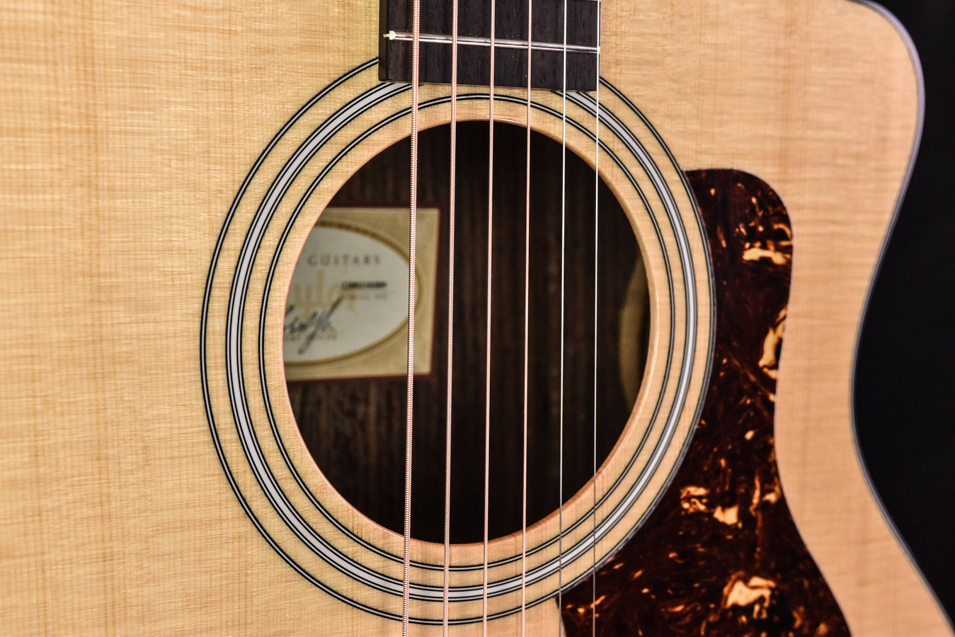 Taylor 214CE Plus with new Aero Case!!