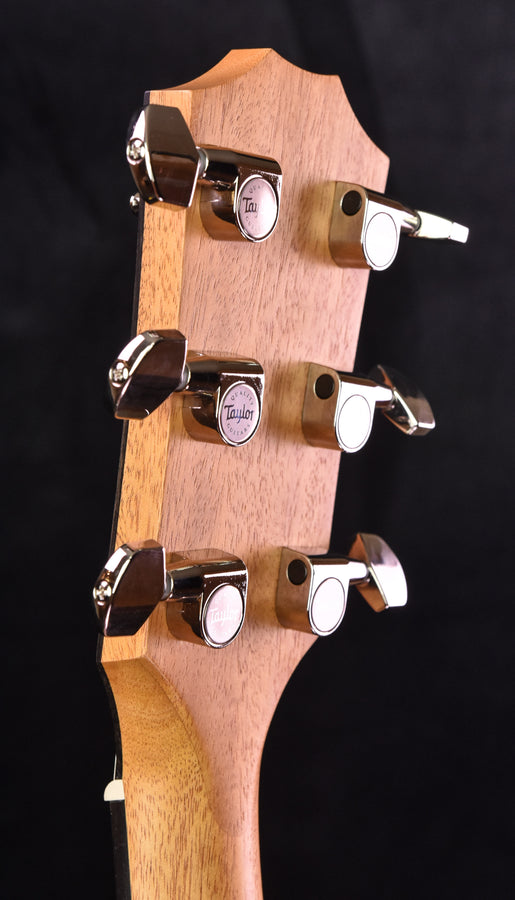 Taylor 214CE Plus with new Aero Case!!