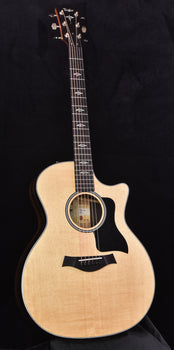 taylor e14ce sitka spruce and crelicam ebony  road show special