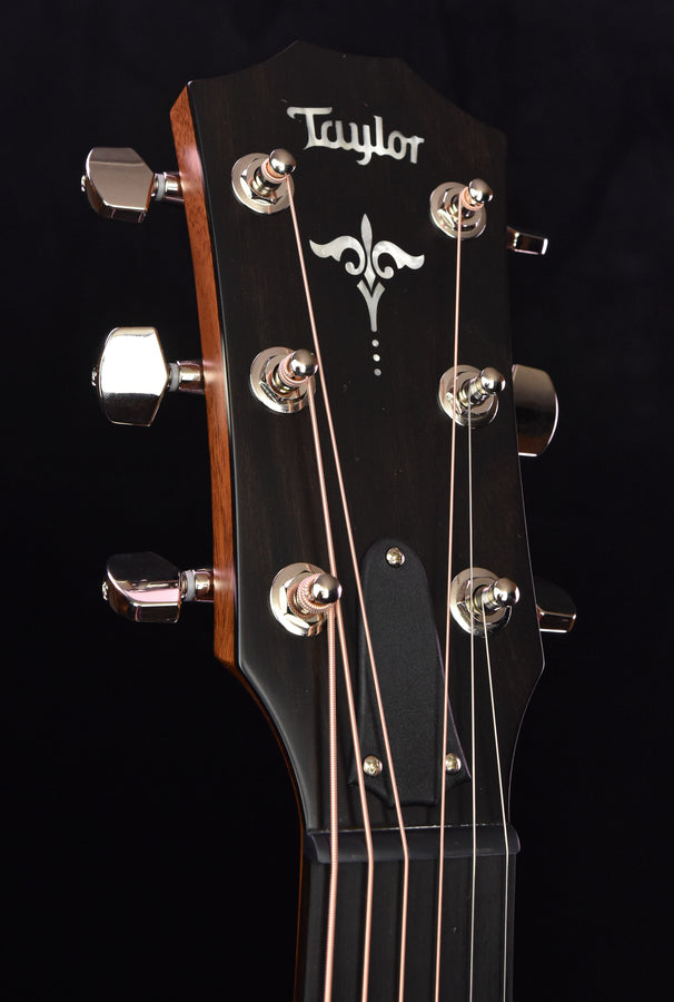 Taylor E14CE Sitka Spruce and Crelicam Ebony  Road Show Special