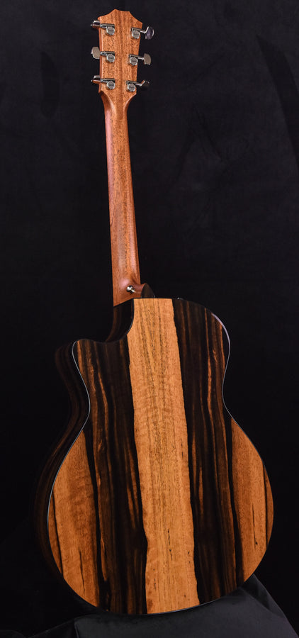 Taylor E14CE Sitka Spruce and Crelicam Ebony  Road Show Special