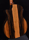 Taylor E14CE Sitka Spruce and Crelicam Ebony  Road Show Special