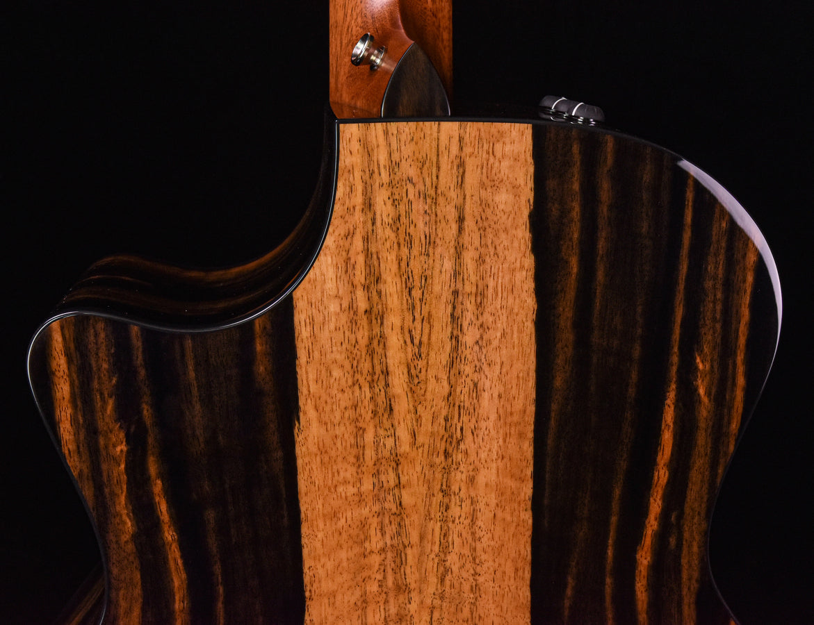 Taylor E14CE Sitka Spruce and Crelicam Ebony  Road Show Special