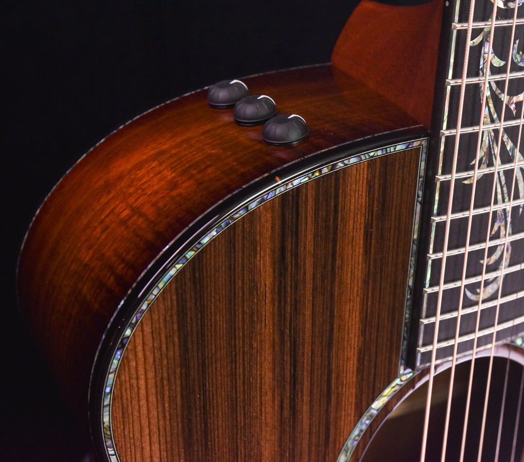 Taylor PS14CE Blackwood/ Sinker Redwood V Class