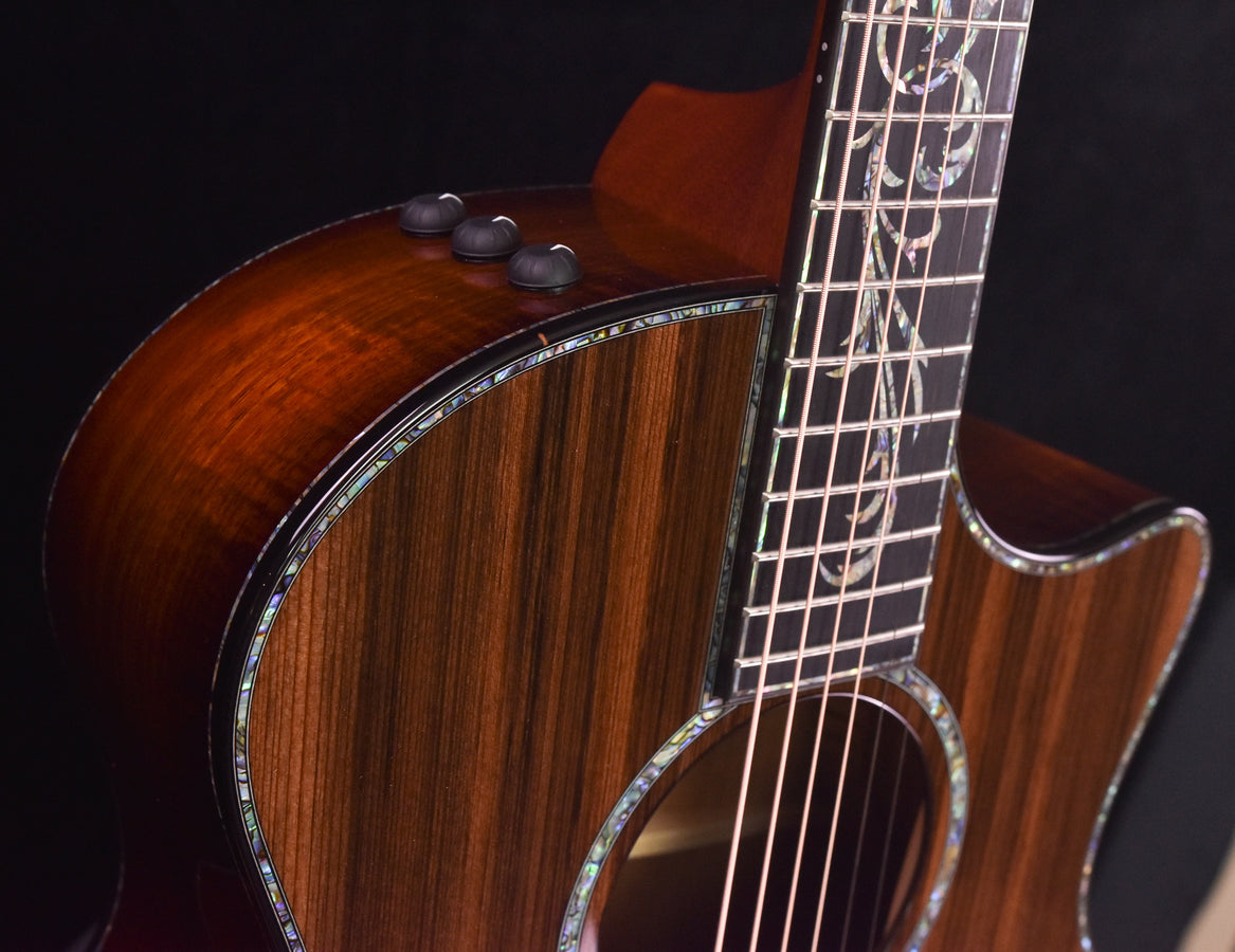 Taylor PS14CE Blackwood/ Sinker Redwood V Class