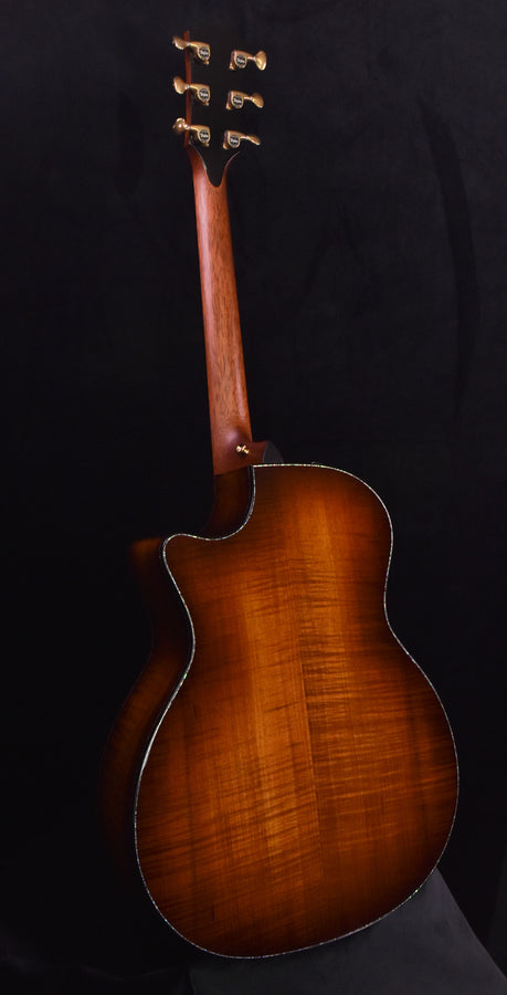 Taylor PS14CE Blackwood/ Sinker Redwood V Class
