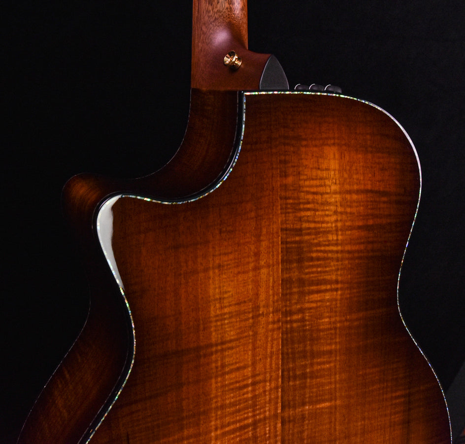 Taylor PS14CE Blackwood/ Sinker Redwood V Class