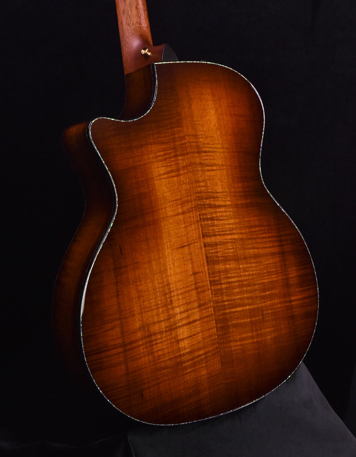 Taylor PS14CE Blackwood/ Sinker Redwood V Class