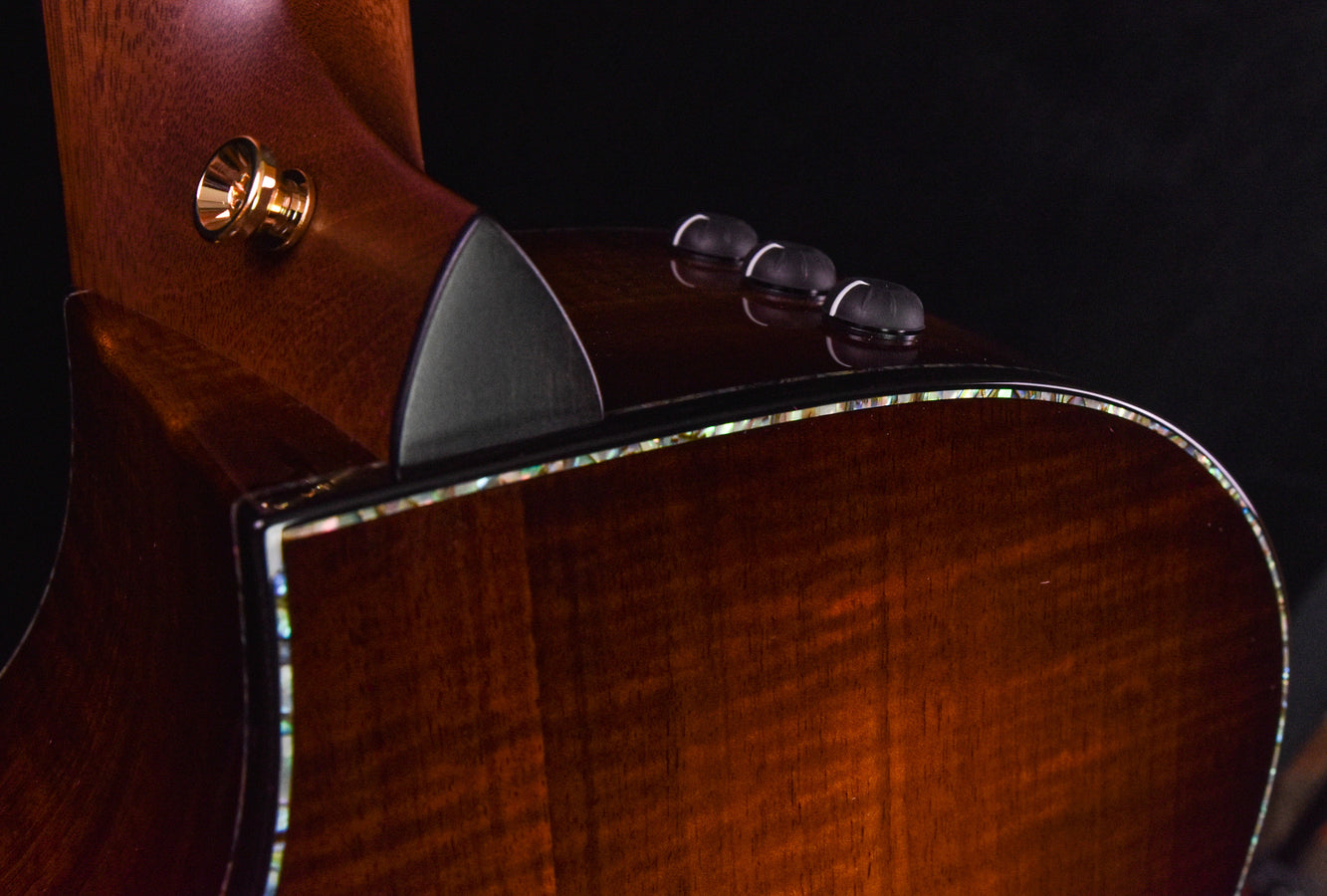 Taylor PS14CE Blackwood/ Sinker Redwood V Class