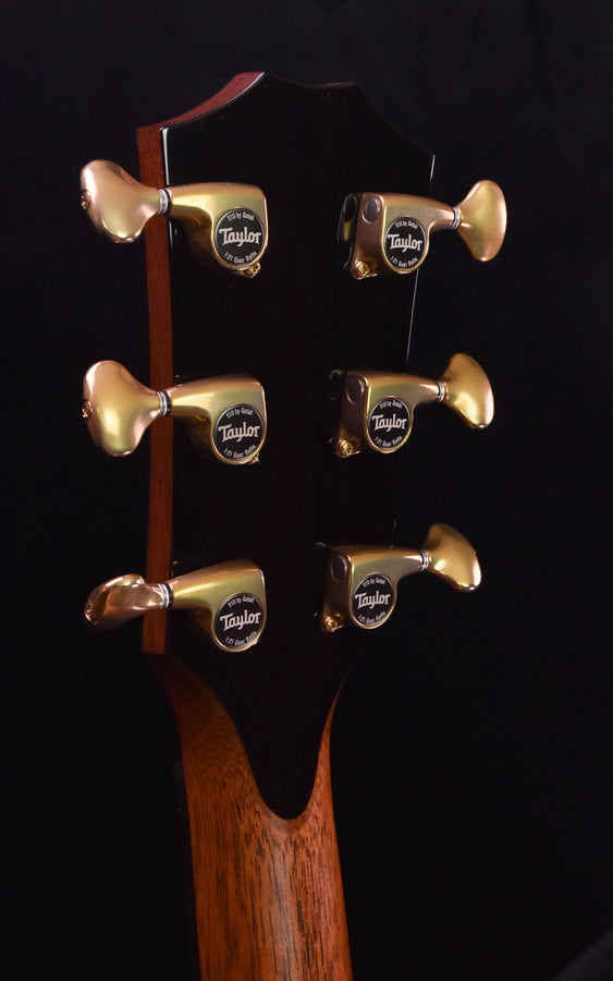 Taylor PS14CE Blackwood/ Sinker Redwood V Class