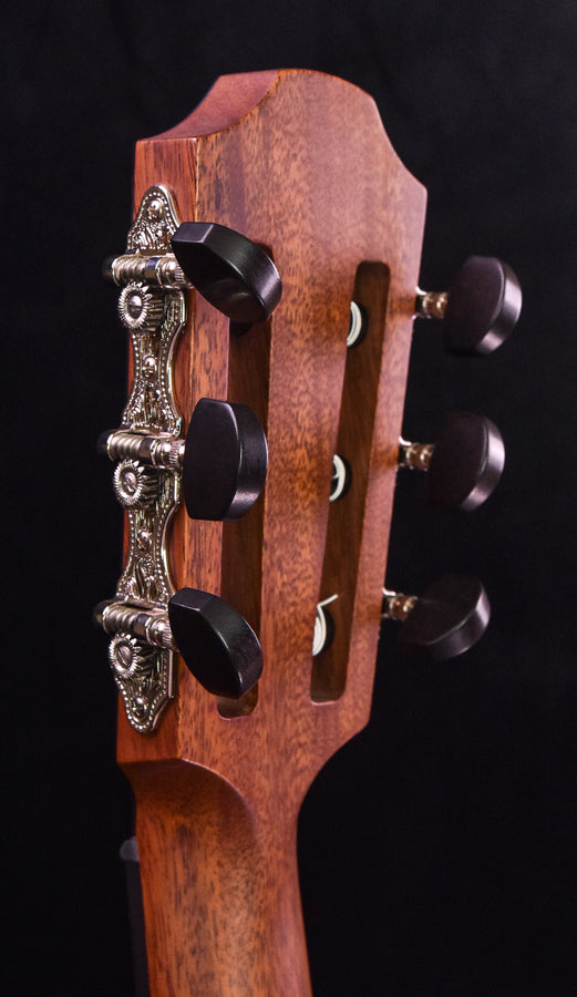 Furch Grand Nylon Guitar Cedar Top/ Indian Rosewood Back and Sides GNc4-CR