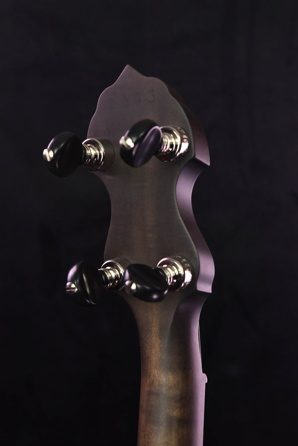 Deering Vega Vintage Star Open Back Five String Banjo