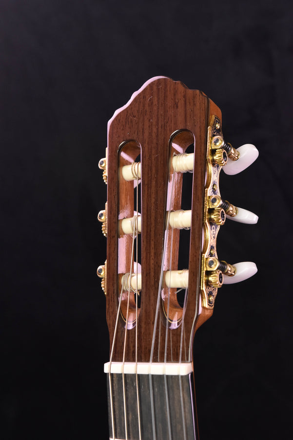 Hill New World Player  Elevated Fretboard 650MM  Cedar Top- Hard Case Included