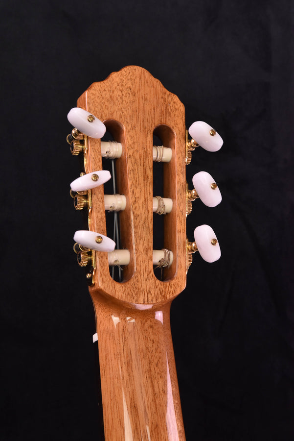 Hill New World Player  Elevated Fretboard 650MM  Cedar Top- Hard Case Included