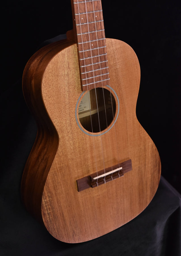Martin T1K Ukulele
