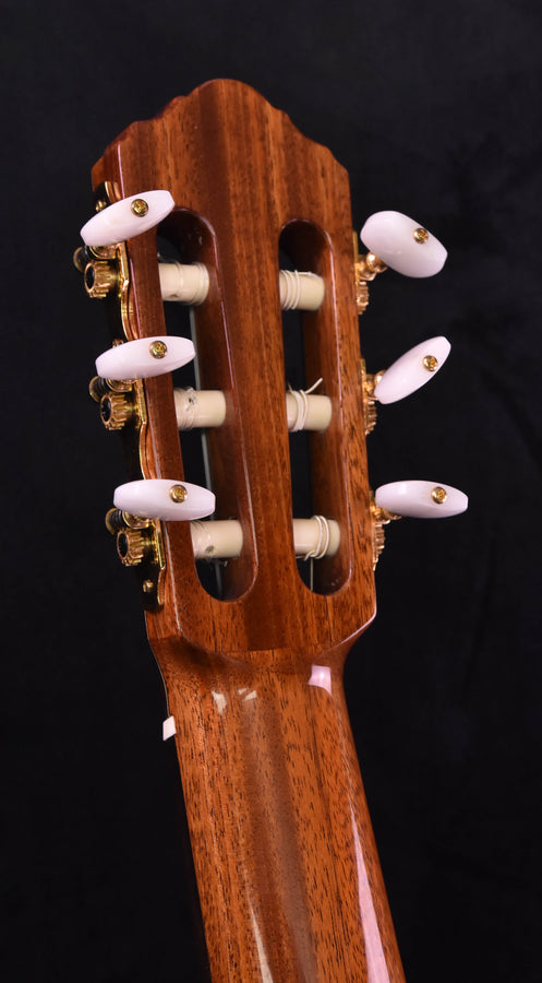 Hill New World Player Classical Solid Spruce Top 650MM Scale with Case