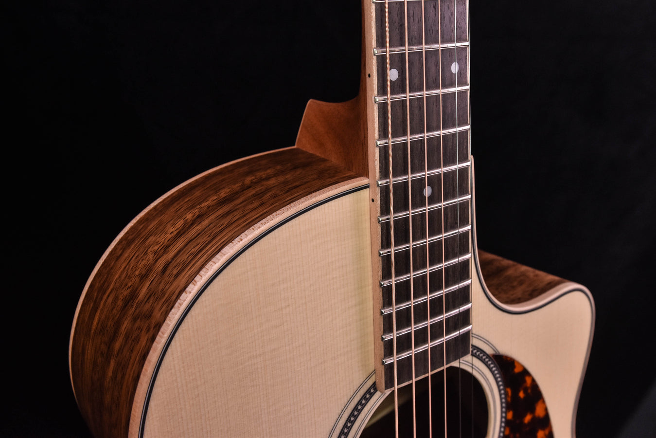 Larrivee LV-03 Bhilwara and Moon Spruce