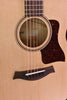 Taylor GTe Urban Ash Guitar