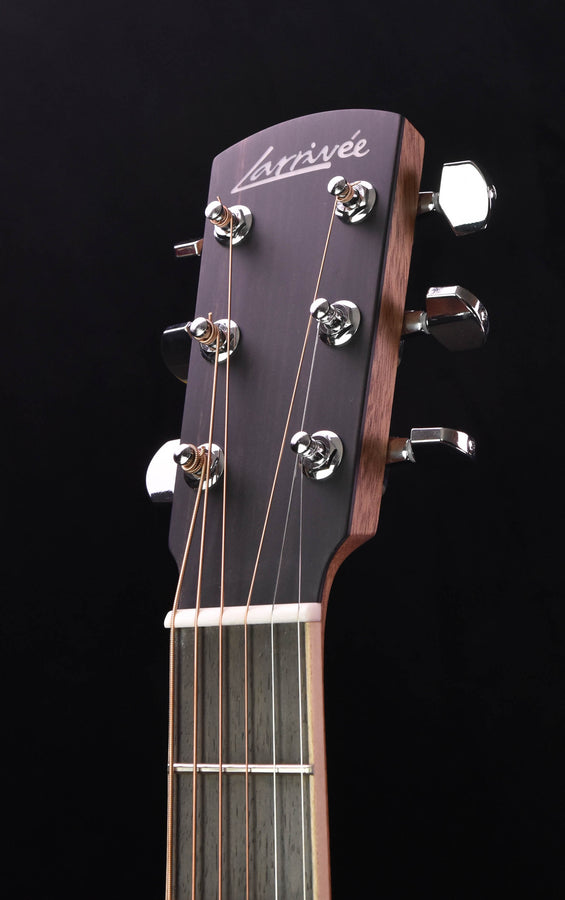 Larrivee LV-03 Bhilwara and Moon Spruce