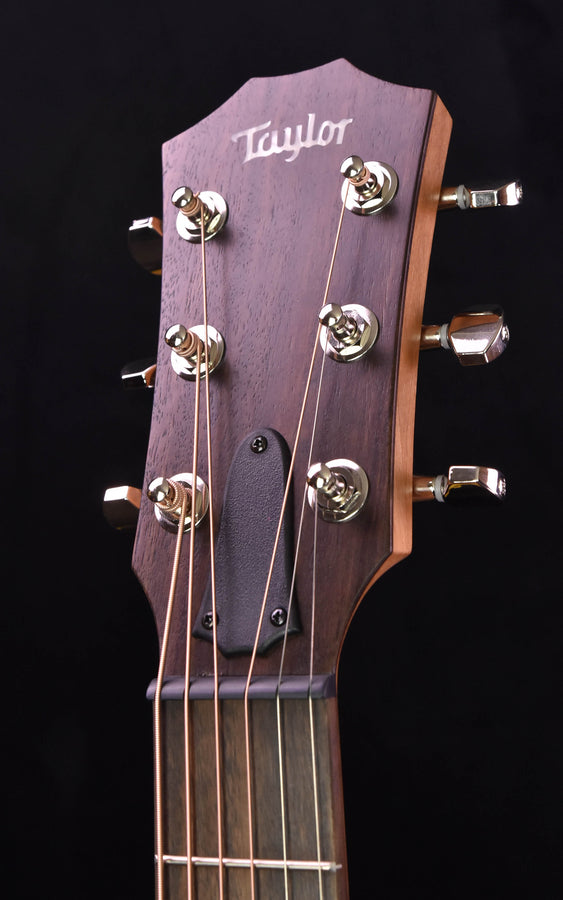 Taylor GTe Urban Ash Guitar