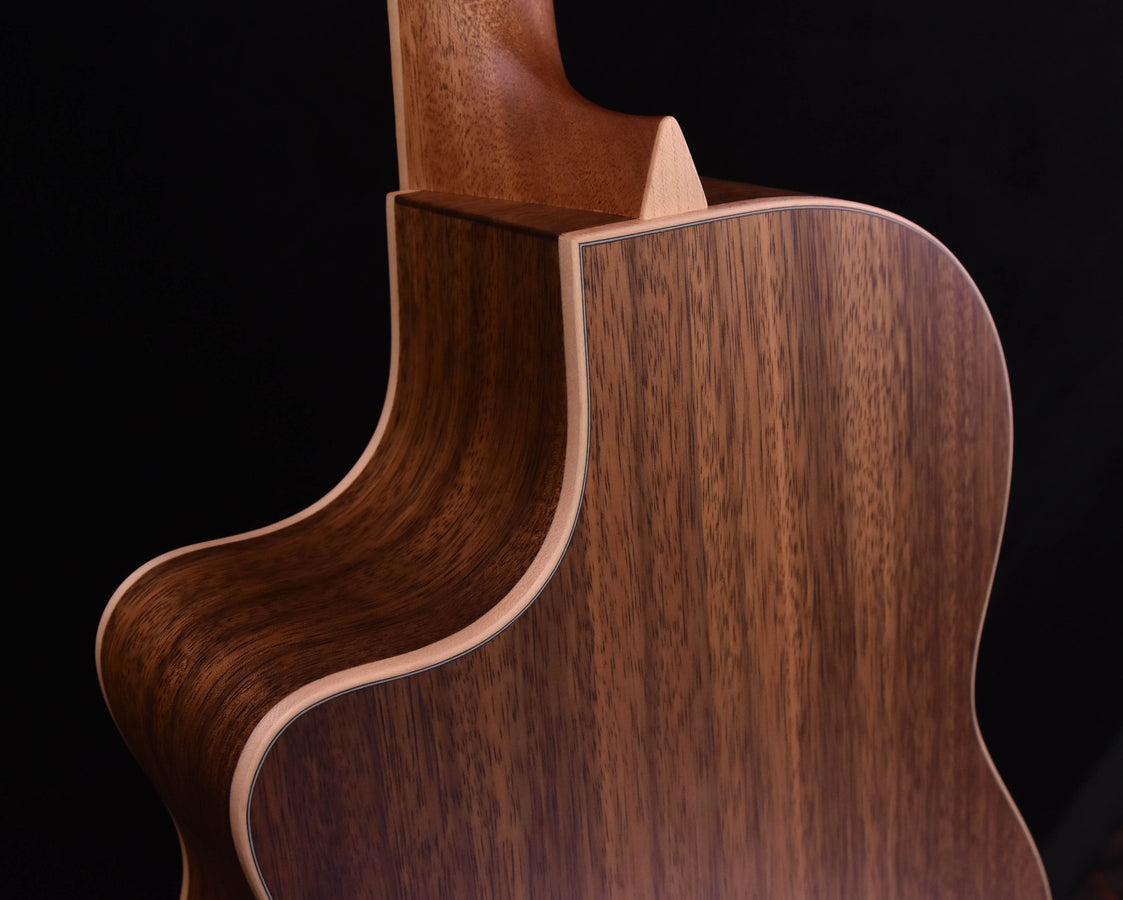 Larrivee LV-03 Bhilwara and Moon Spruce