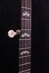 Deering Eagle II Banjo Five String Resonator