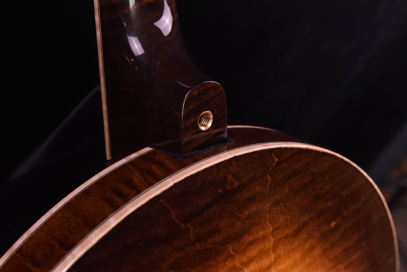 Nechville Orion- Tiger Maple