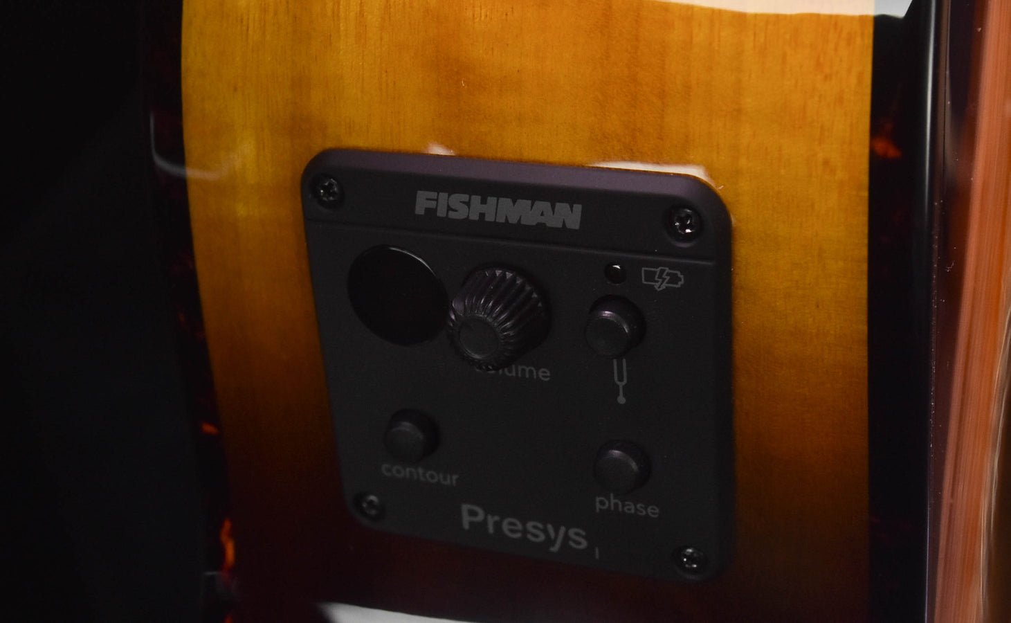 Breedlove Pursuit Exotic S Concert Tiger's Eye CE all Myrtlewood