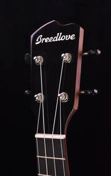breedlove lu'au concert ukulelel natural shadow e sitka spruce/ myrtlewood