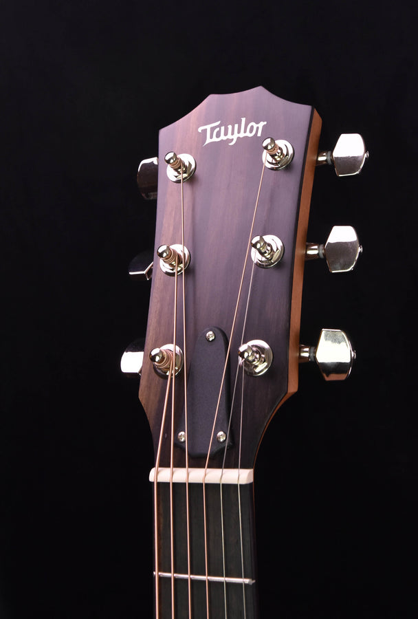 Taylor 214CE Plus with new Aero Case!!