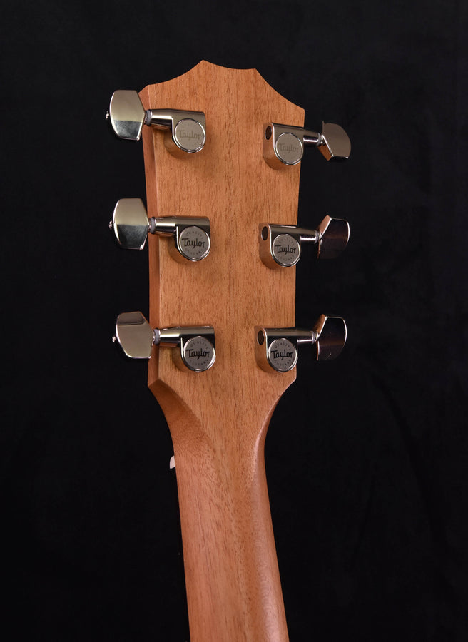 Taylor 214CE Plus with new Aero Case!!