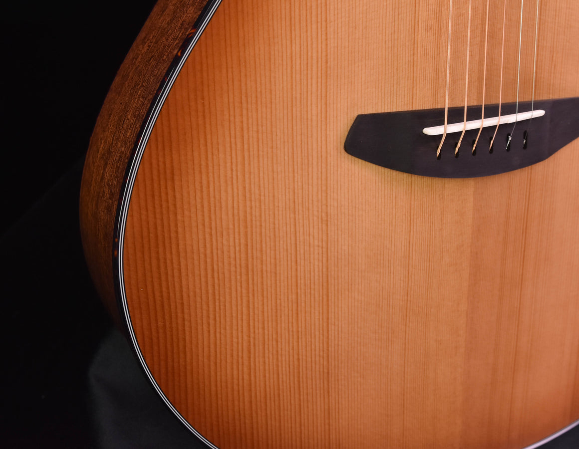 Breedlove Jeff Bridges Signature Copper E Organic Collection